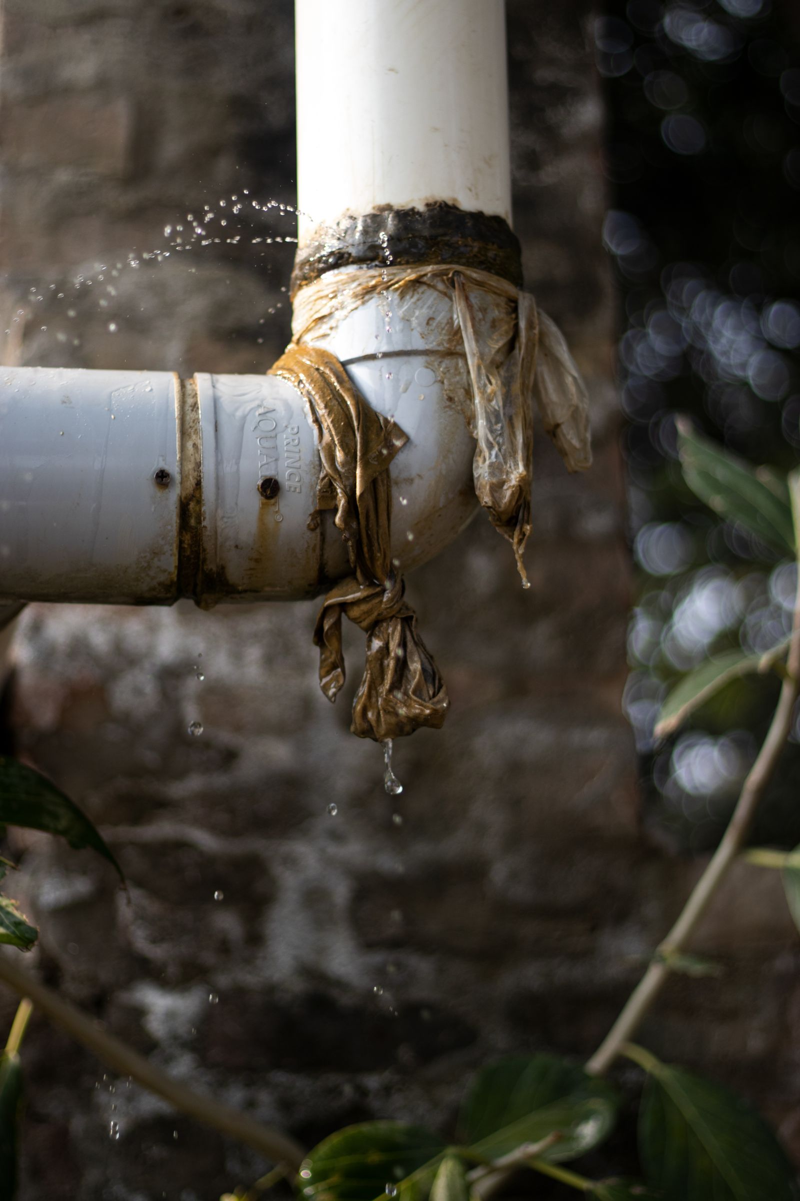 Leaking water pipe found during leak detection in New Smyrna Beach FL